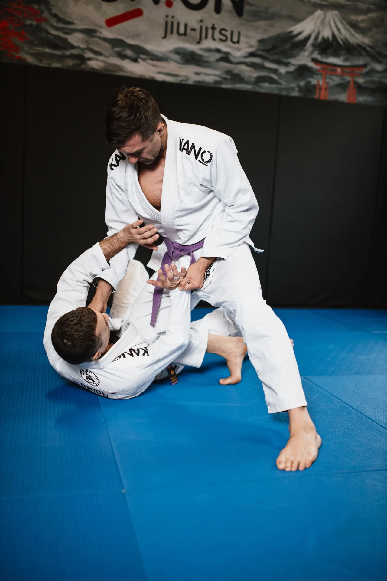 Brazilian Jiu-Jitsu
